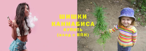 бутират Богданович