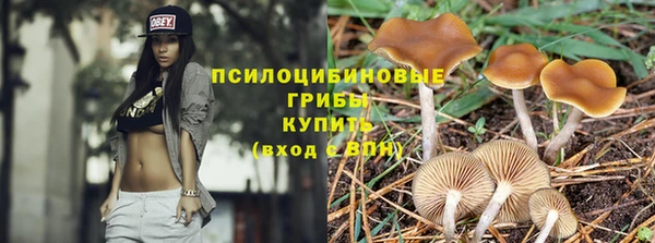 бутират Богданович