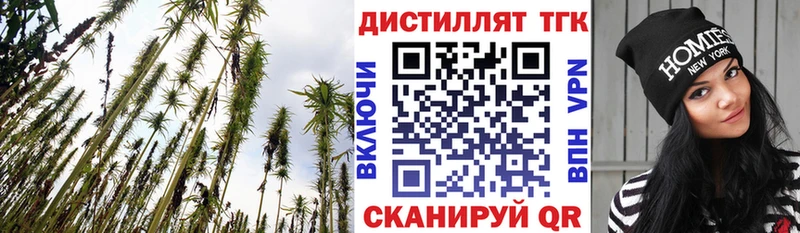 наркота  Чёрмоз  ТГК THC oil 